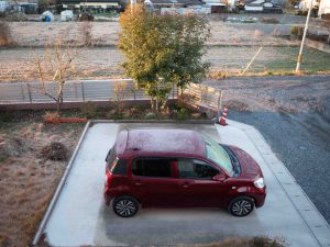 冬　寒さ　231222 (1 - 1)